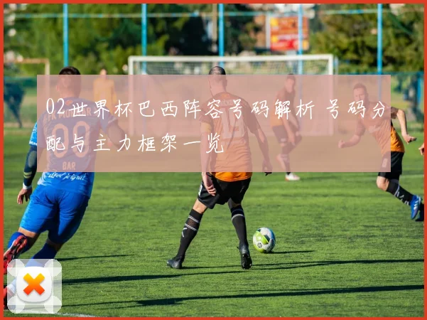 02世界杯巴西阵容号码解析 号码分配与主力框架一览
