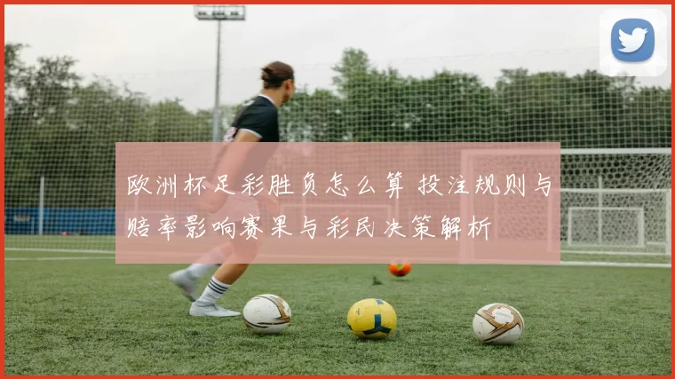 欧洲杯足彩胜负怎么算 投注规则与赔率影响赛果与彩民决策解析