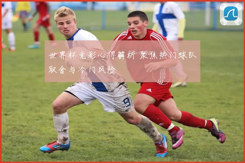 世界杯竞彩心得解析 聚焦热门球队取舍与冷门风险