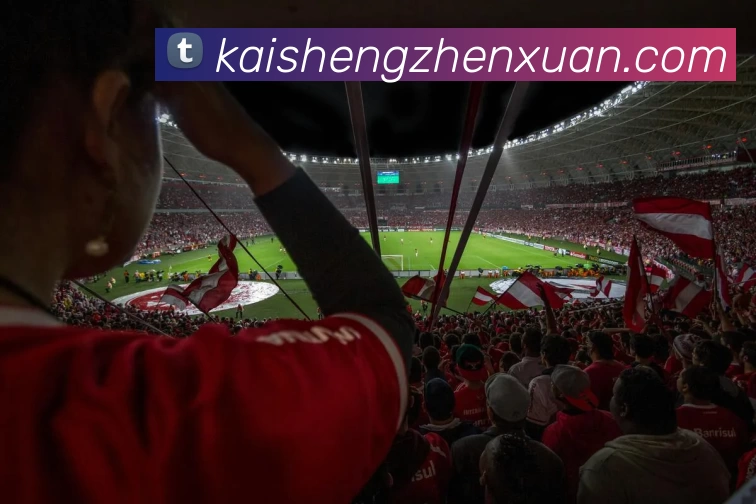 多媒体互动体验